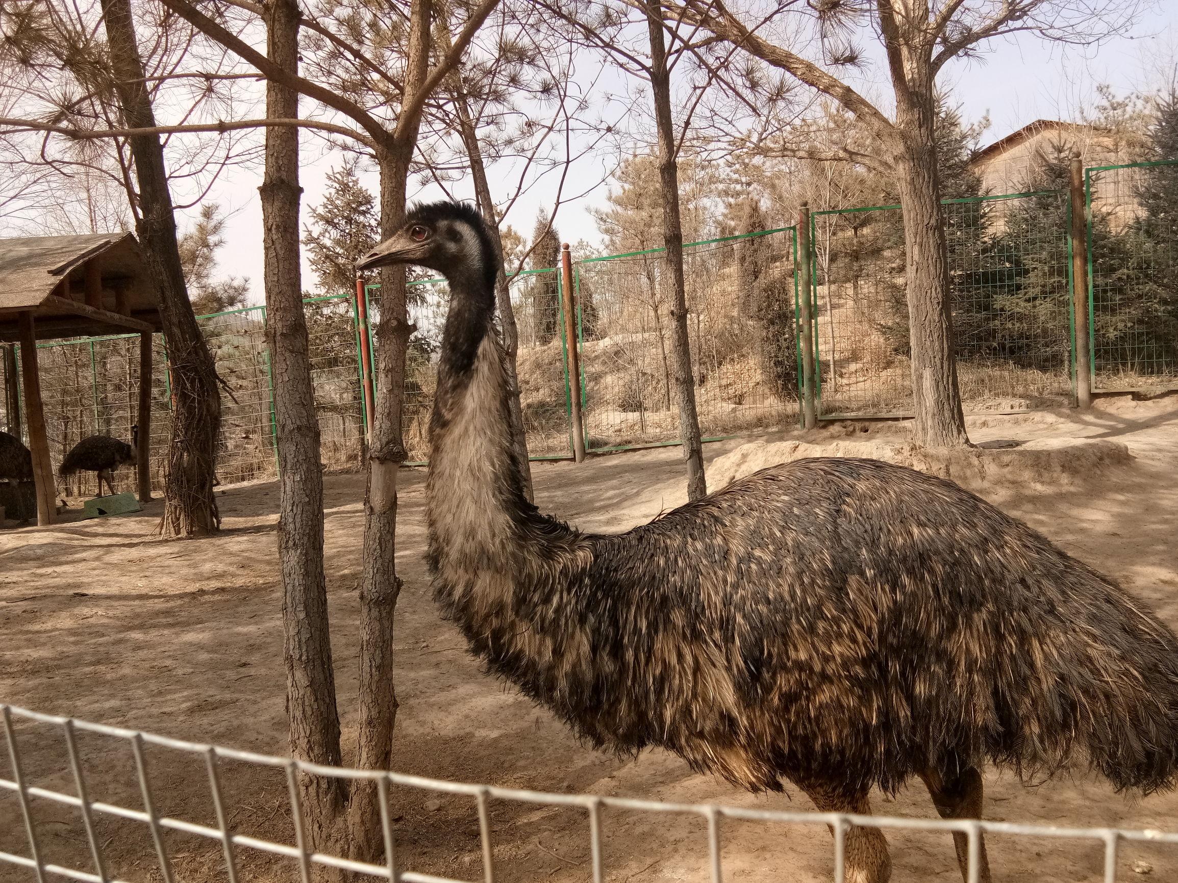 秘境之旅，青海的独特魅力与壮丽风光