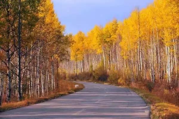 呼伦贝尔,草原明珠的自然赞歌