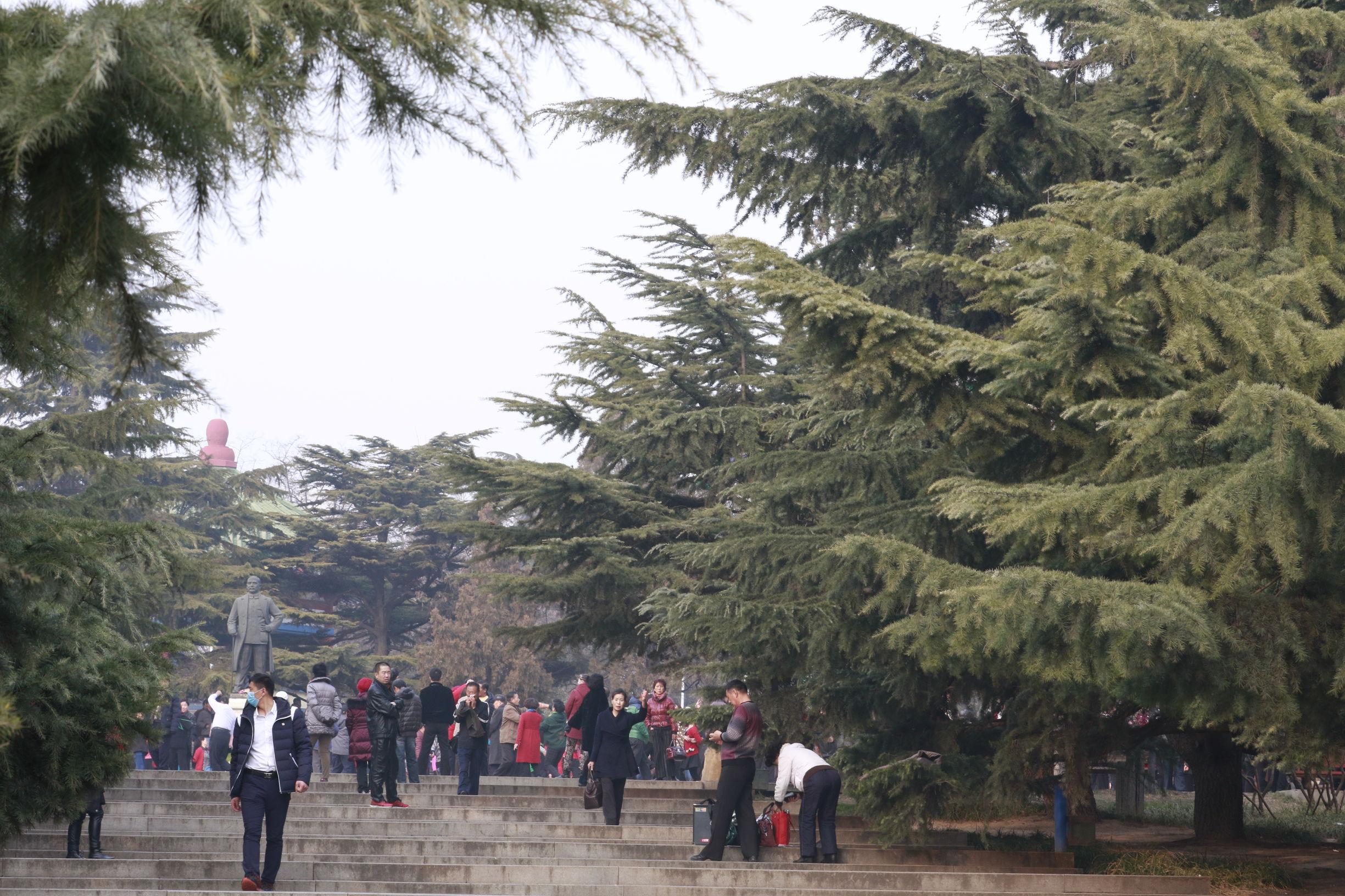 大连，活力四溢的海滨明珠